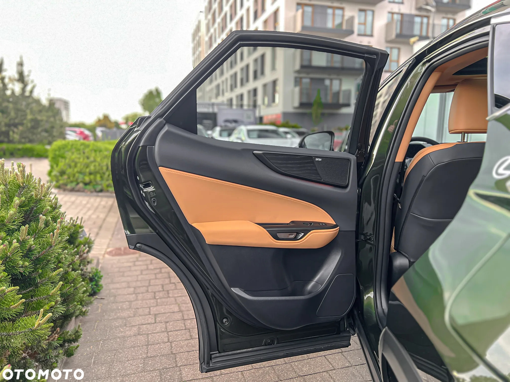 Lexus NX 450h+ Omotenashi AWD - 24