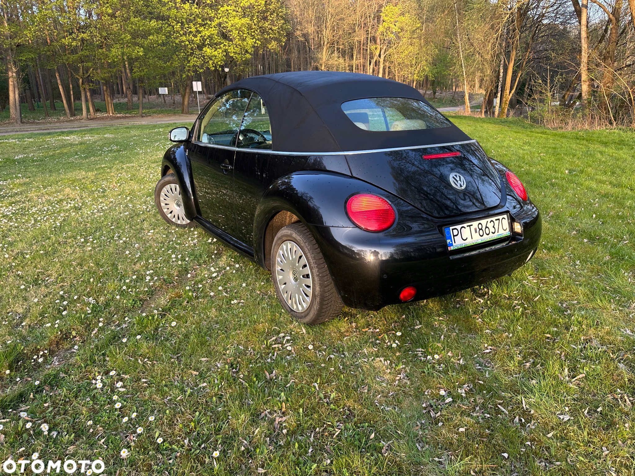 Volkswagen New Beetle 2.0 - 8