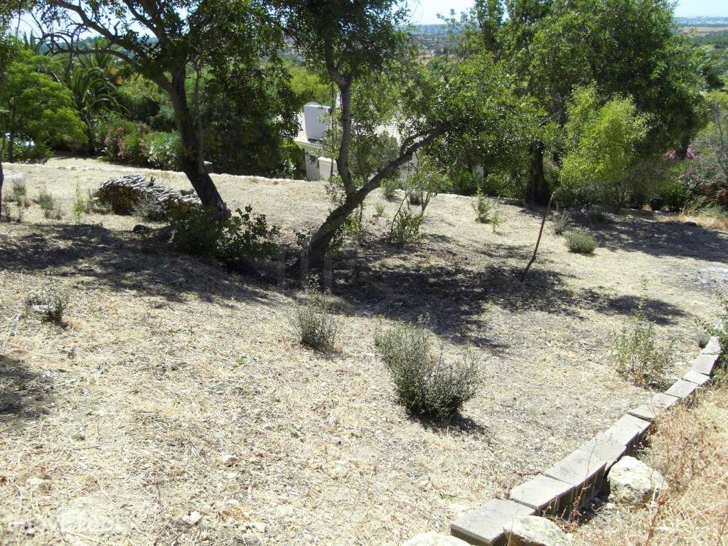 Terreno misto na Mexilhoeira Grande, Algarve - Grande imagem: 2/17