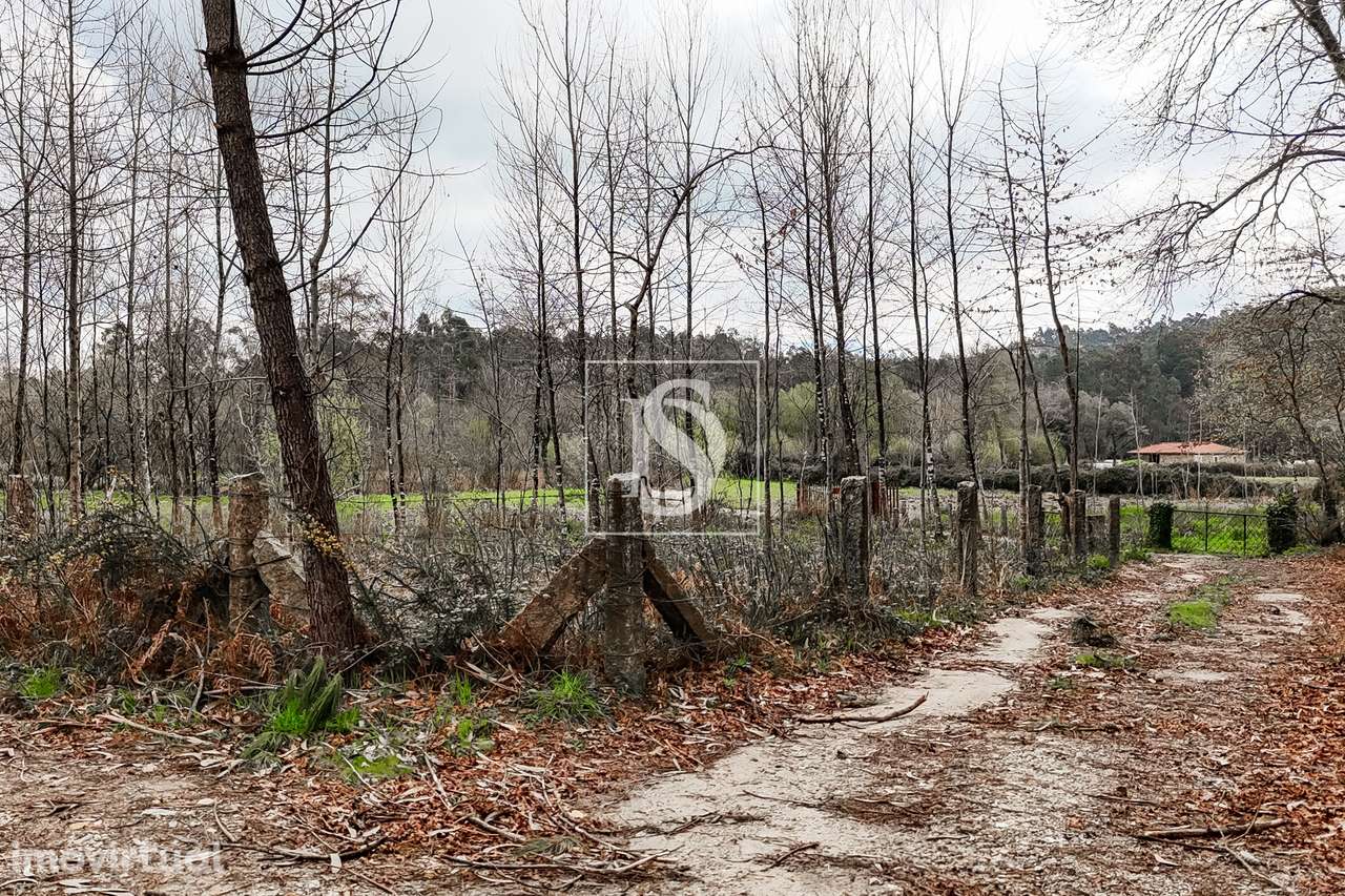 Terreno Rústico  Venda em Associação de freguesias do Vale do Neiva,Po - Grande imagem: 3/20