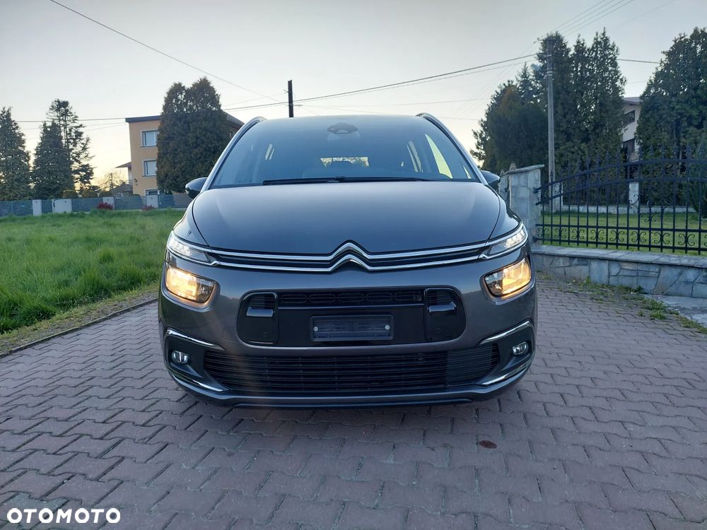 Citroën C4 SpaceTourer 1.6 PureTech Shine S&S EAT8 - 10