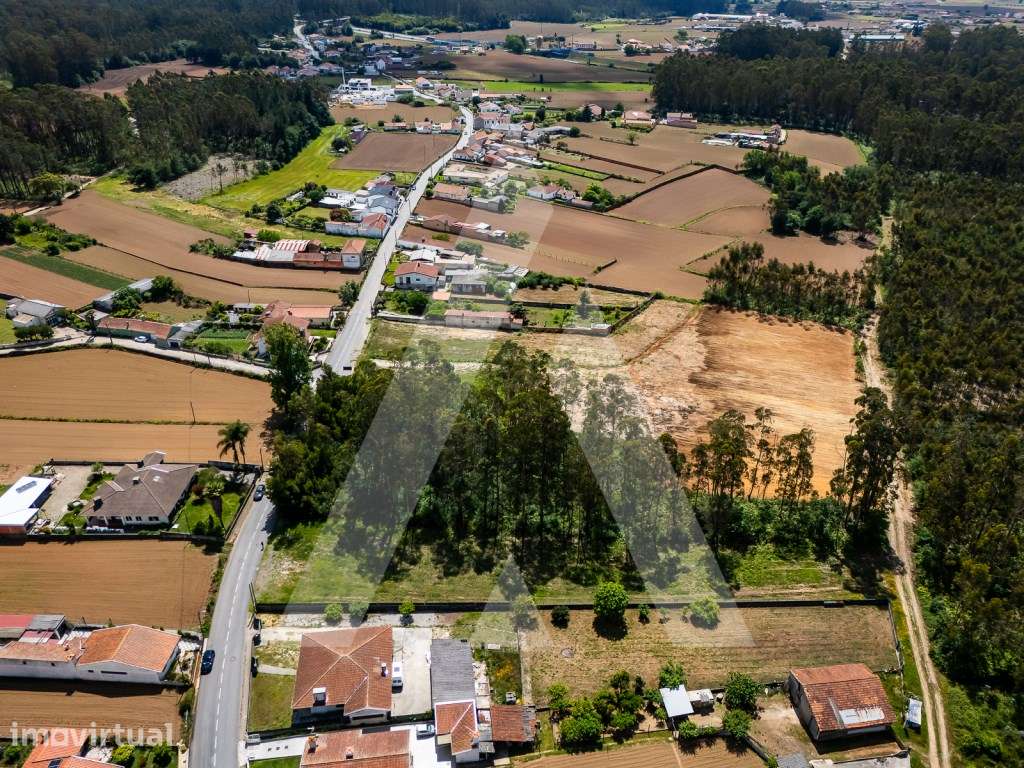 Terreno com 2600m2 para construção em Válega - Ovar - Grande imagem: 5/12