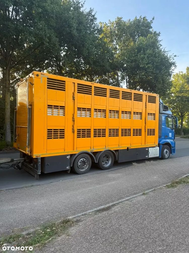 Mercedes-Benz Actros 2545 | Menke 3 poziomy do transportu zwierząt | Wentylacja | Poidła | EURO 6 | 6x2 - 4