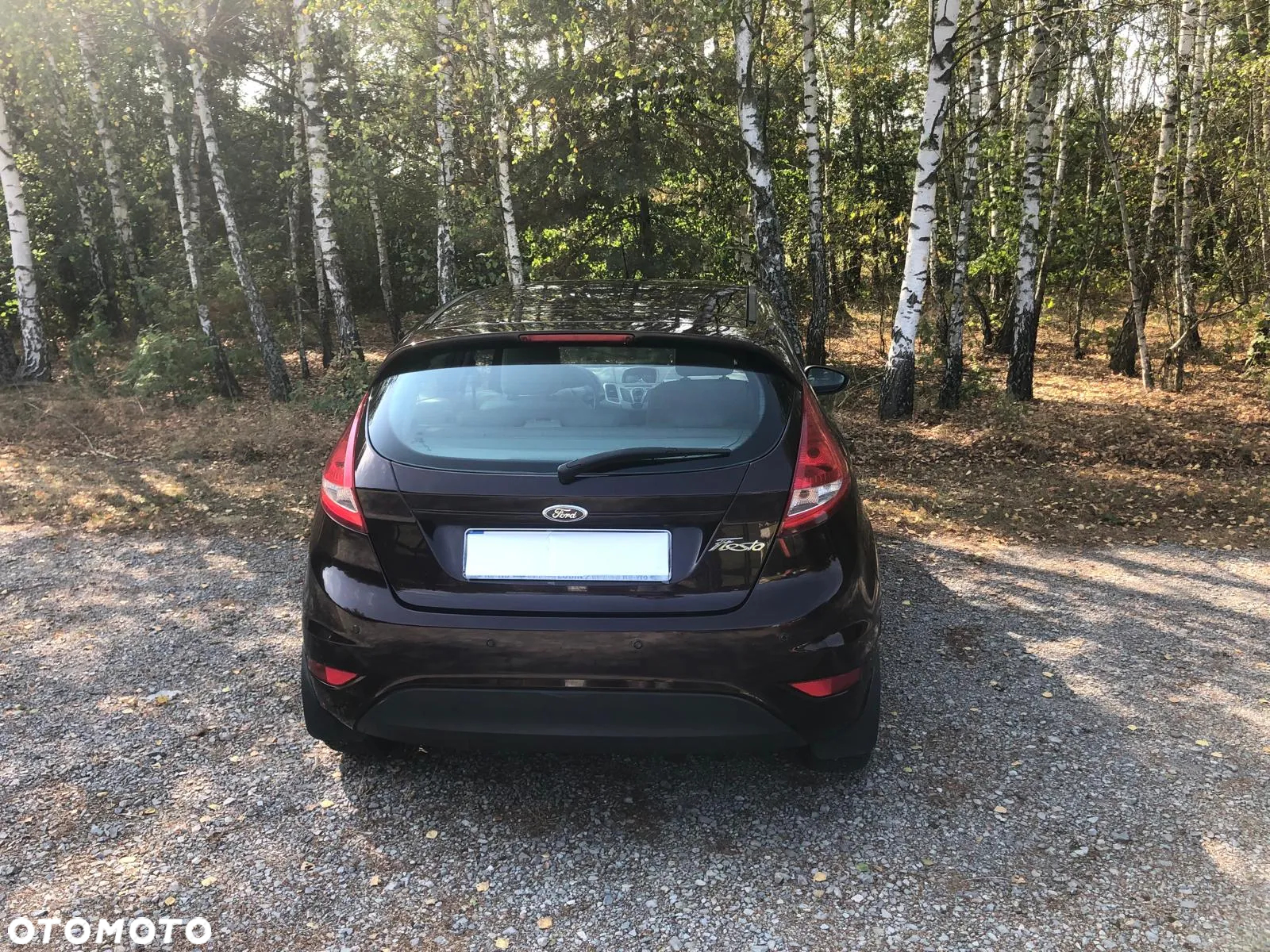 Ford Fiesta 1.25 Gold X EU5 - 9