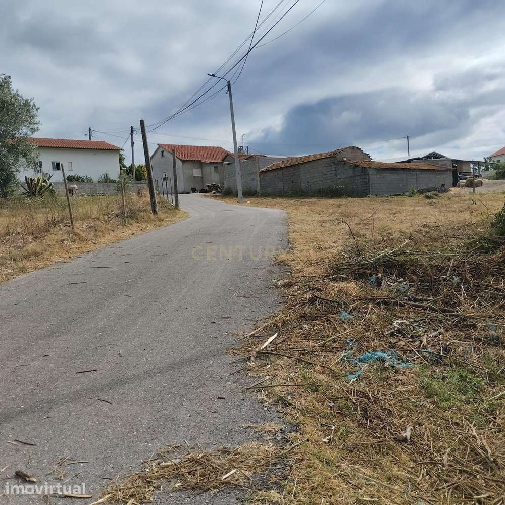 Terreno em Simões, Soure. - Grande imagem: 3/14