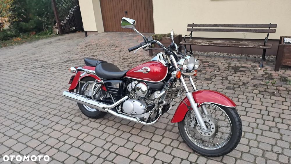 Honda Shadow - 8