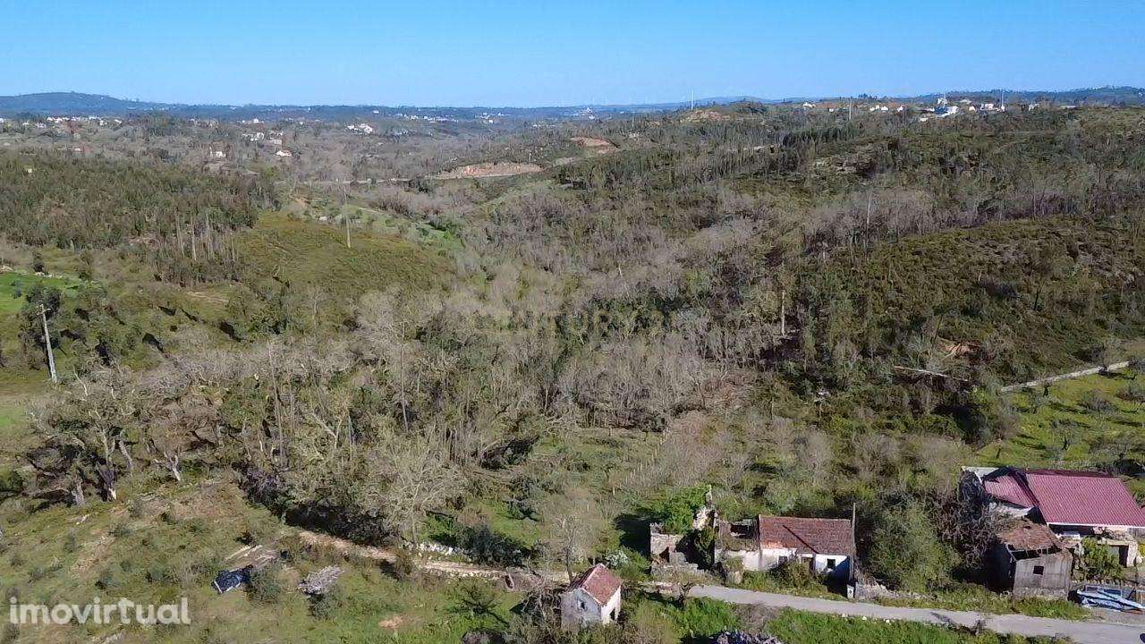 Ruína com Poço e Terreno de 4.500m² com Nogueiras – Vista Desafogada e - Grande imagem: 5/7