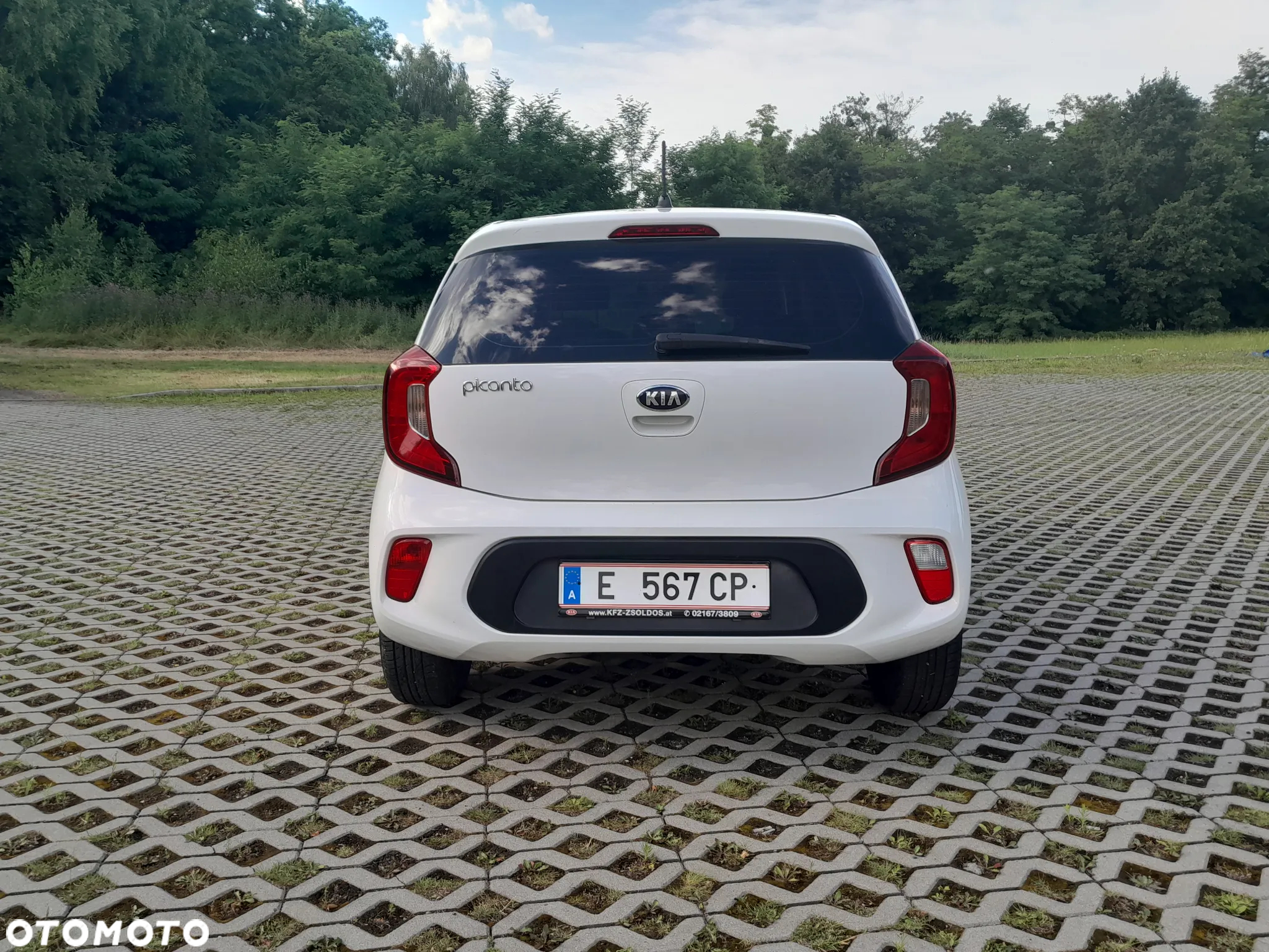 Kia Picanto 1.0 Business Line Plus - 5