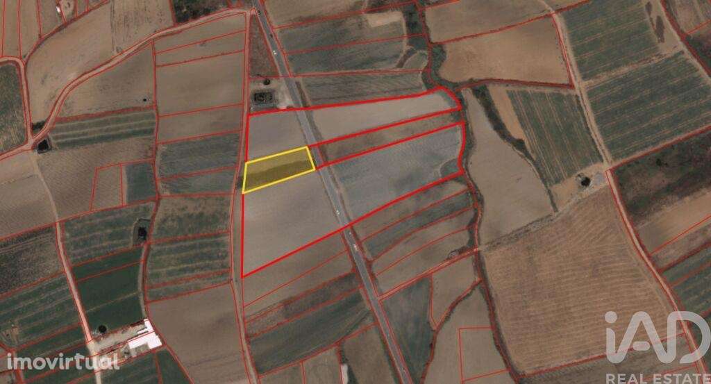 Terreno Agrícola em Atouguia da Baleia - Grande imagem: 3/8