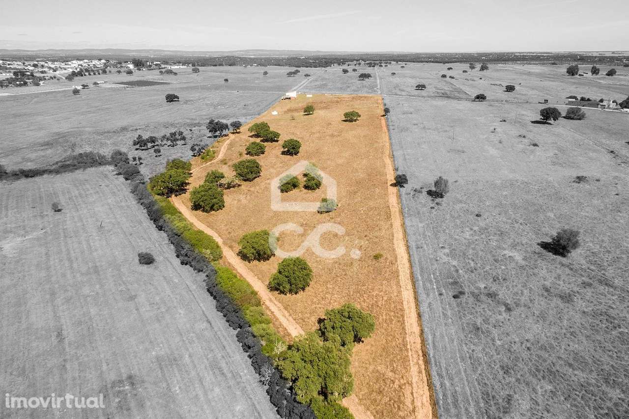 Terreno rústico de 3 hectares, com dependência agrícola, poço e tanque - Grande imagem: 3/29