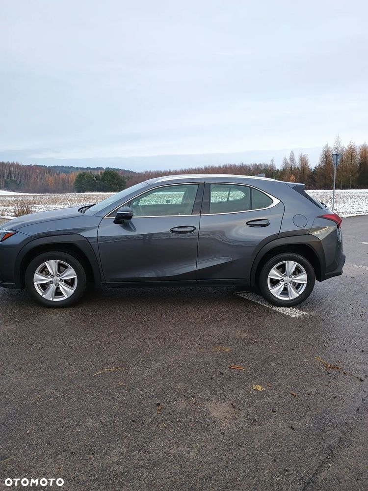 Lexus UX 250h GPF Business Edition 2WD - 2