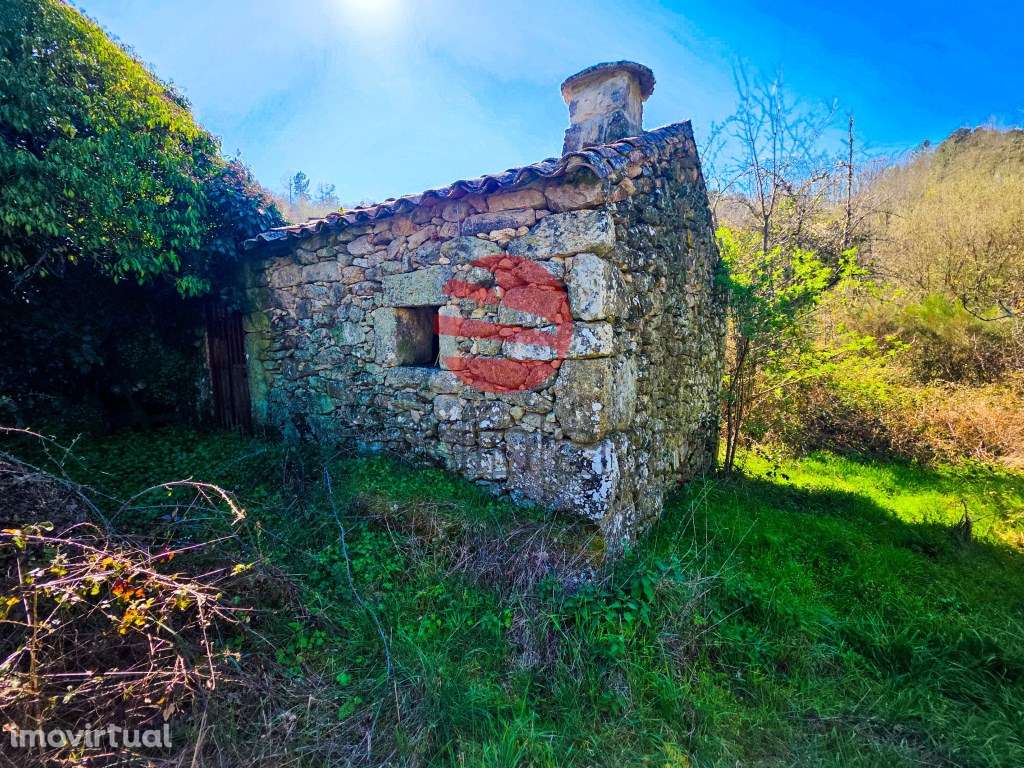 MOINHOS DE CEREAIS - Grande imagem: 4/13