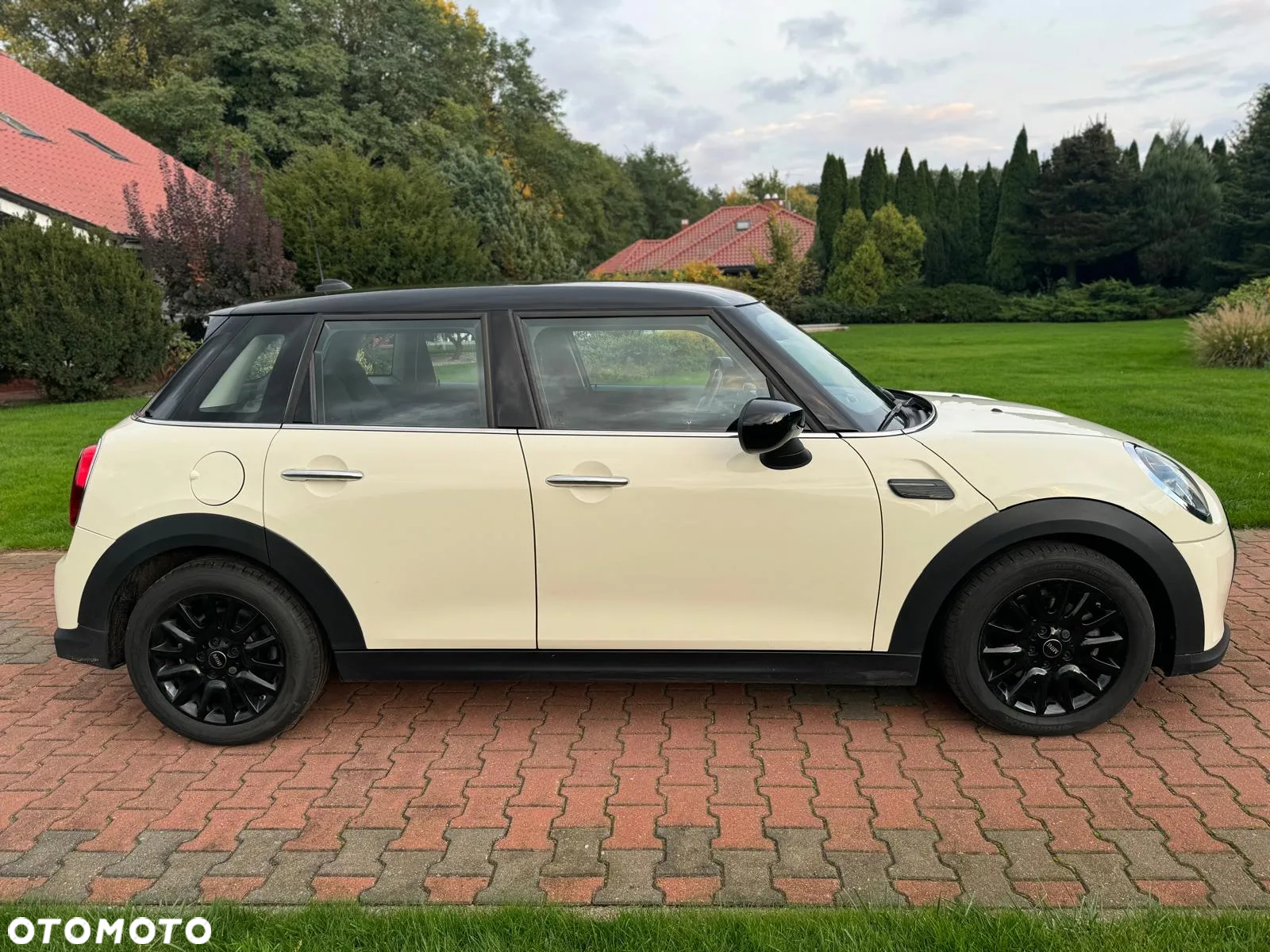 MINI Cooper Multitone Edition - 4