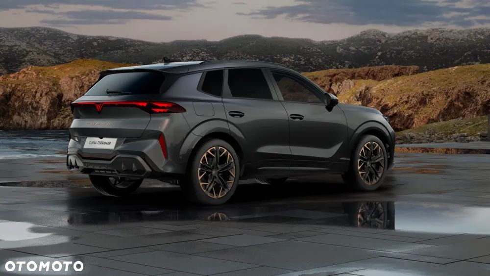 Cupra Terramar 2.0 TSI 4Drive Advantage Edition DCC DSG - 7