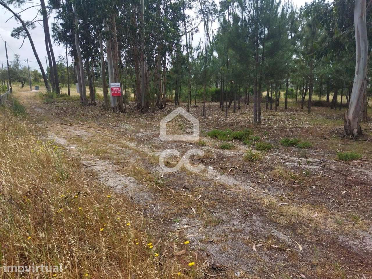 Terreno  Venda em Vieira de Leiria,Marinha Grande - Grande imagem: 5/12