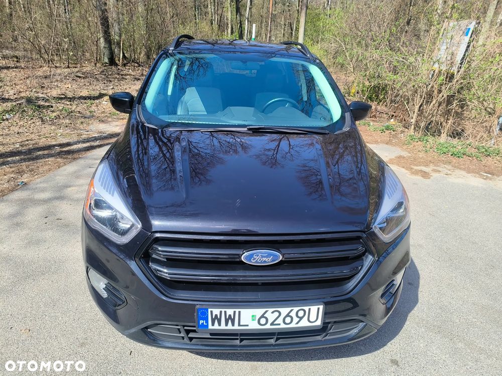 Ford Kuga 1.5 EcoBoost 4WD Trend - 5