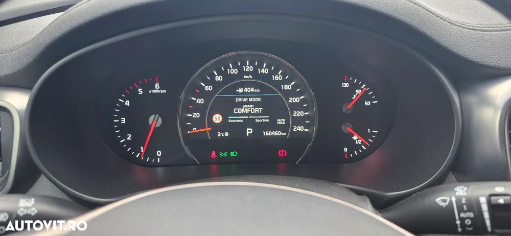 Kia Sorento 2.2 CRDi AWD Aut. Platinum Edition - 22