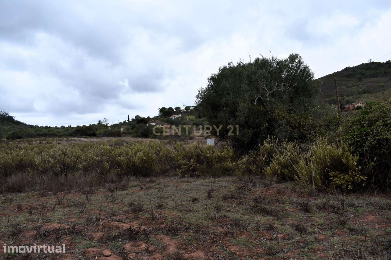 Terreno rústico com 4080 m2 em Vale Fuzeiros - Grande imagem: 2/18