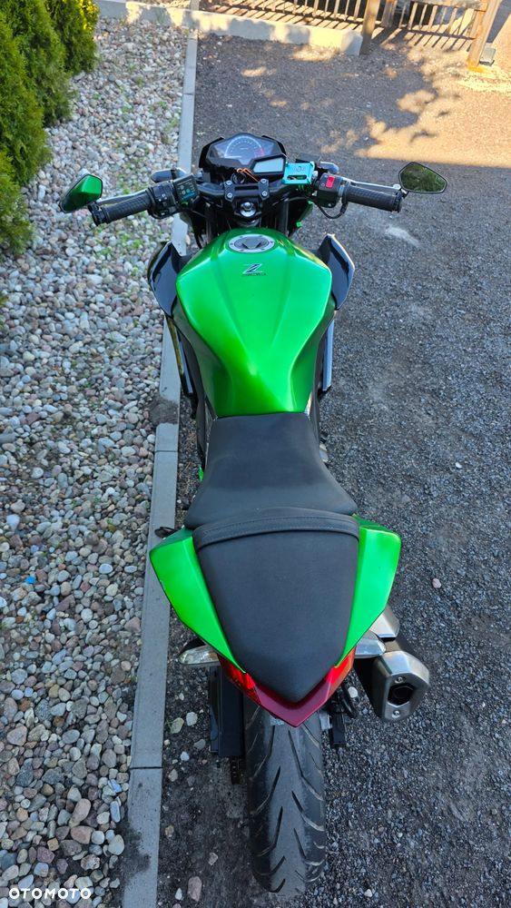 Kawasaki Z - 10