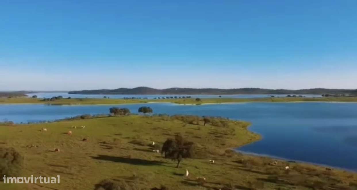Terreno de 158.000 m2 nas margens do Alqueva - Grande imagem: 3/15