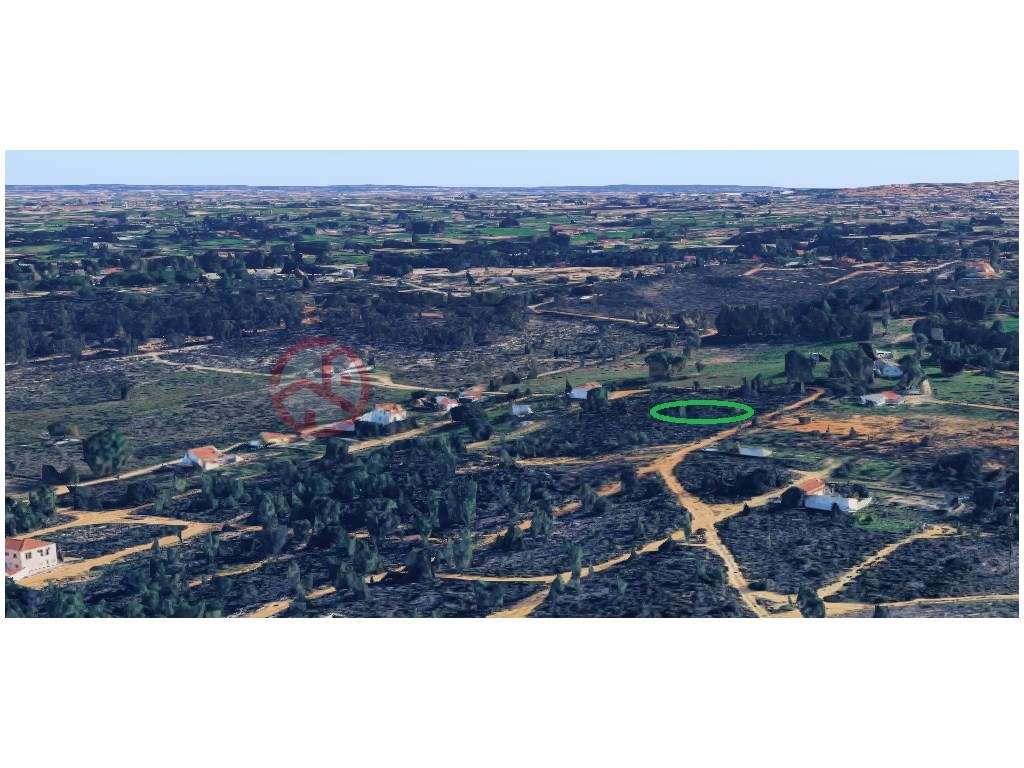 Dois Terrenos Rústicos com 1,125m2 em Pinheiro Ramudo, Quinta do Anjo - Grande imagem: 3/8