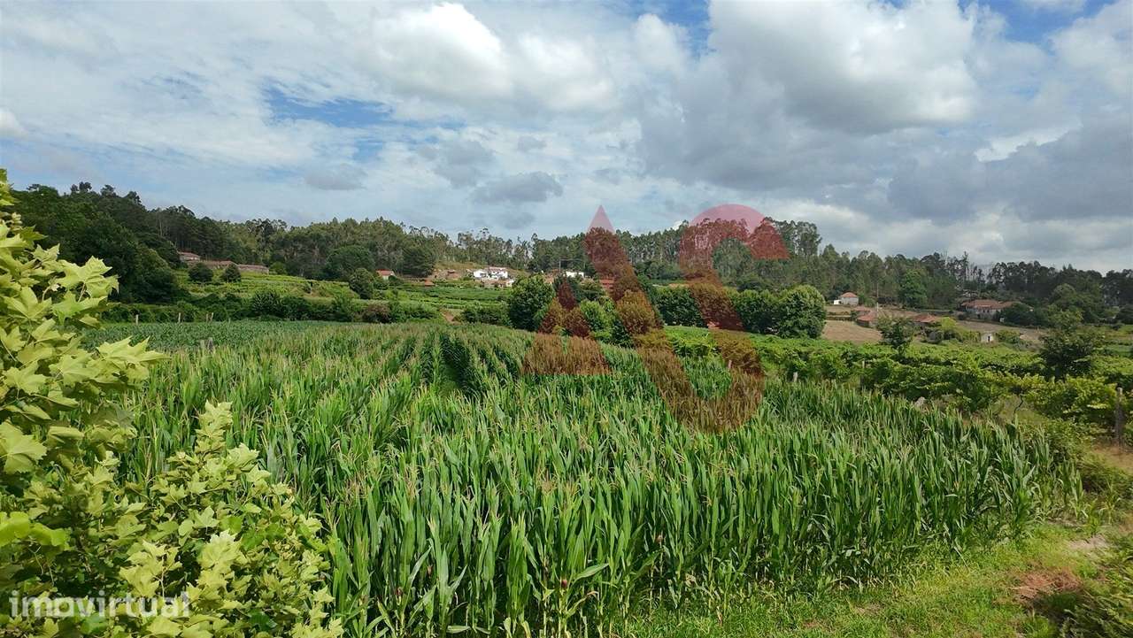 Terreno Agrícola com 2290m2 em Silvares, Lousada - Grande imagem: 3/4