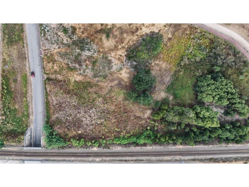 Terreno Rústico - Cristelo Côvo, Valença - Grande imagem: 3/7