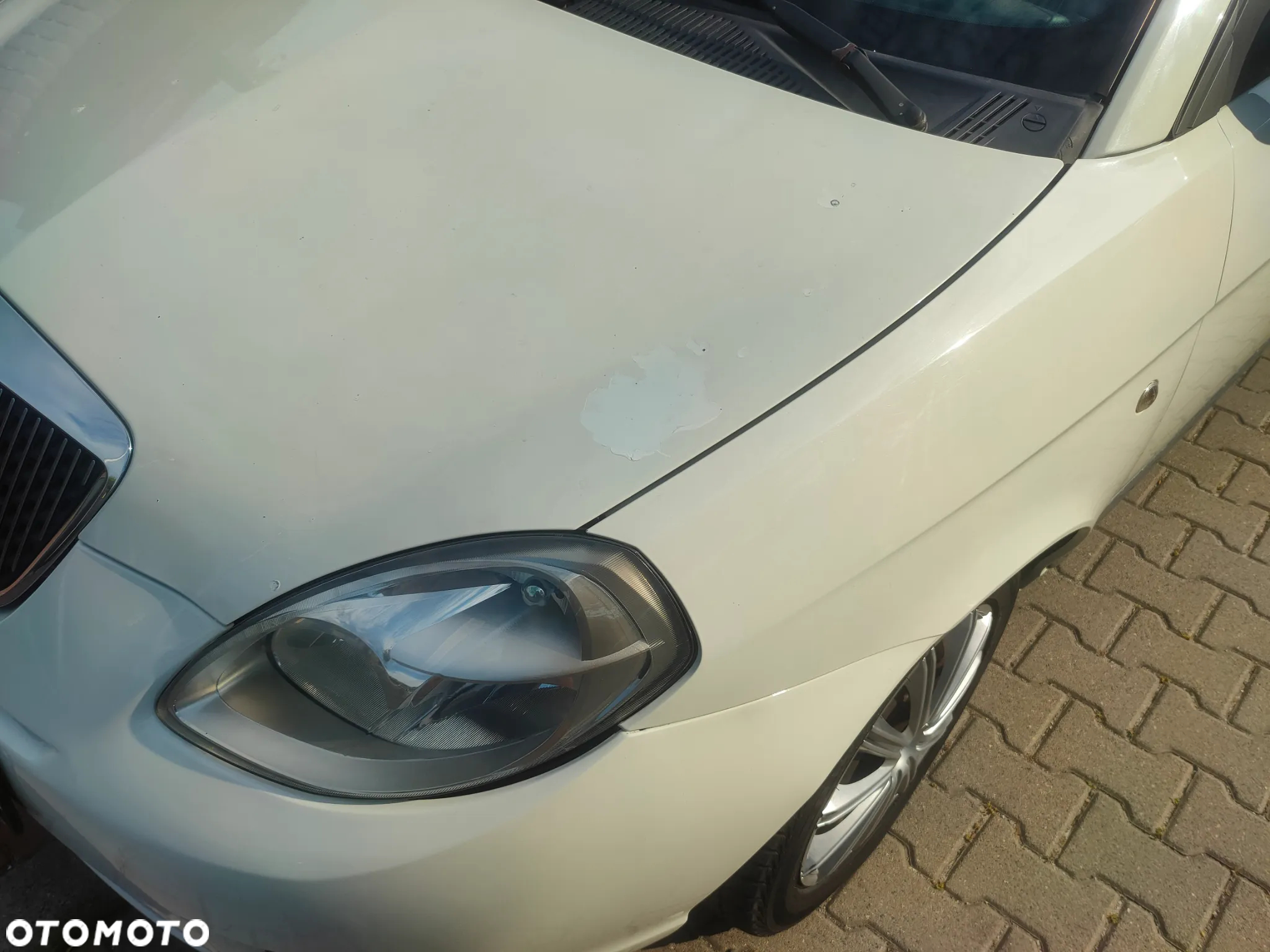 Lancia Ypsilon - 5