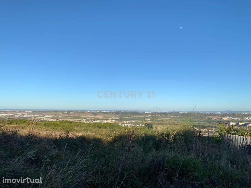 TERRENO EM MALHAPÃO – STO ANTÃO DO TOJAL - Grande imagem: 2/4