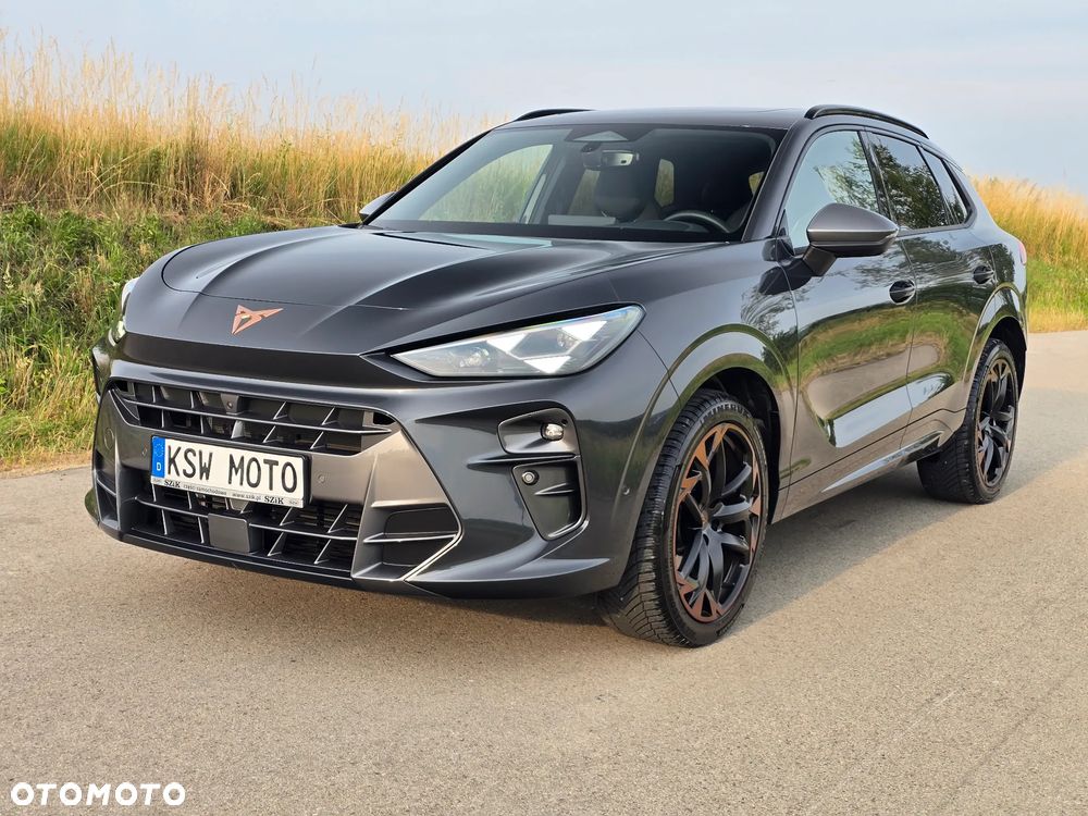 Cupra Terramar 2.0 TSI 4Drive VZ DSG - 1