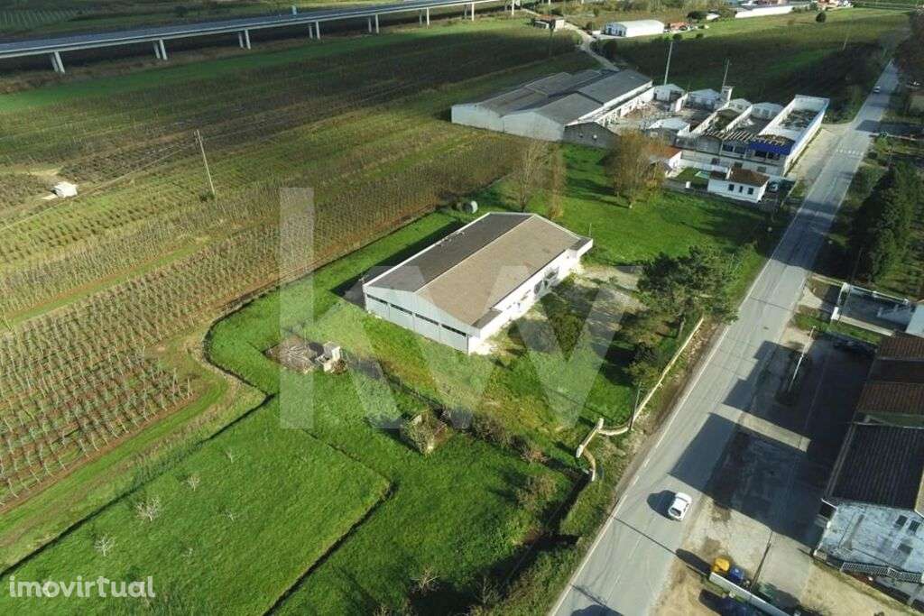 Armazem/Fábrica 737m2 | Terreno 40.000m2 | Estrada Nacional 8-5 |1987| - Grande imagem: 2/39