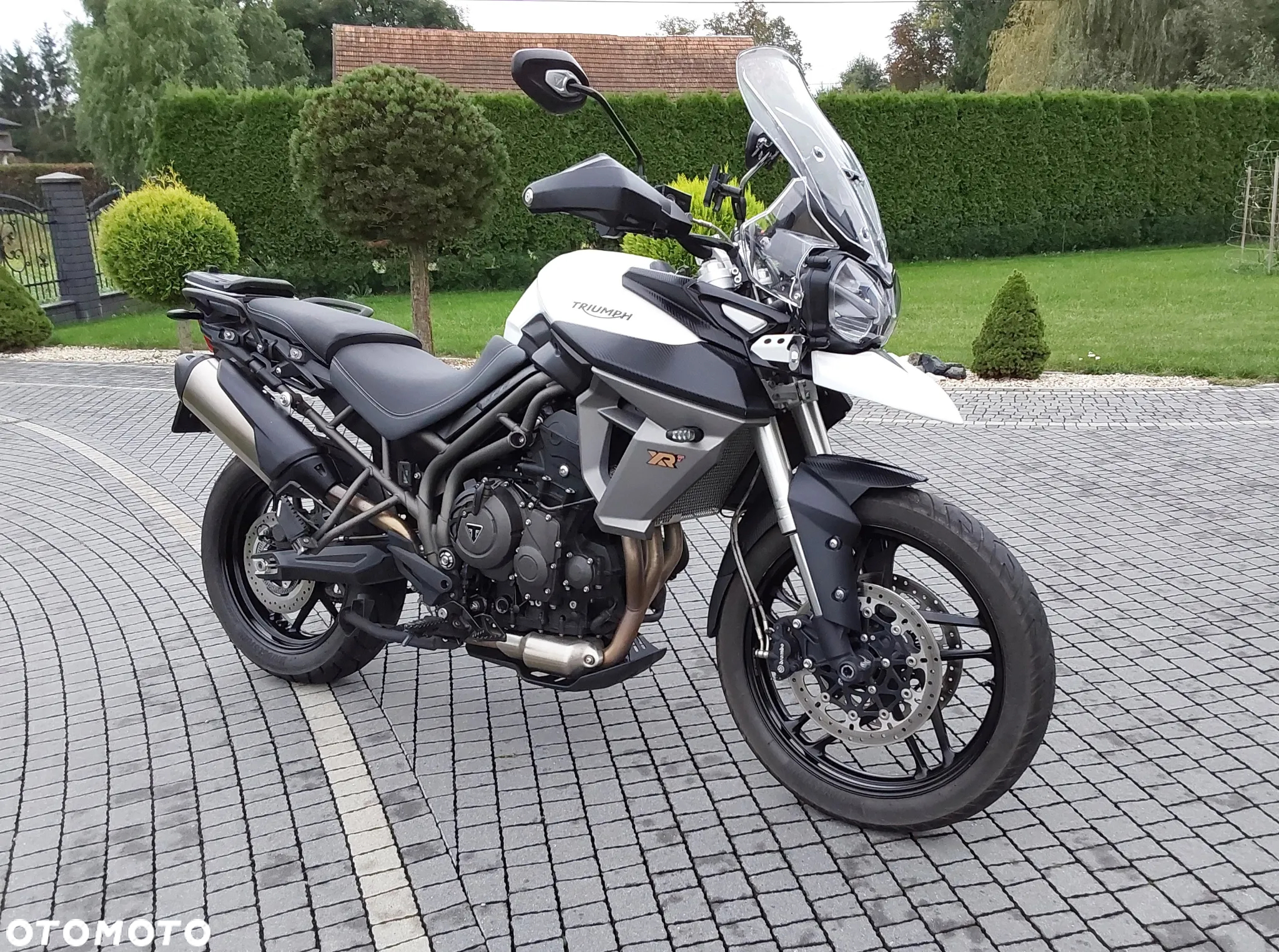 Triumph Tiger - 6