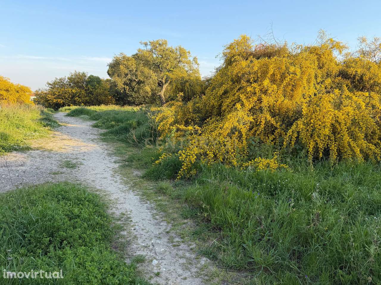Terrenos rústicos 630 m² em Vila Nova de Caparica - Grande imagem: 5/8