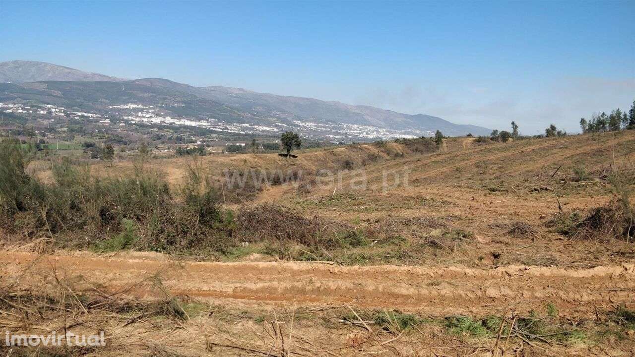 Terreno Rústico / Fundão, Alcaria - Grande imagem: 3/3