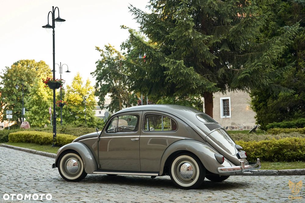 Volkswagen Garbus - 10