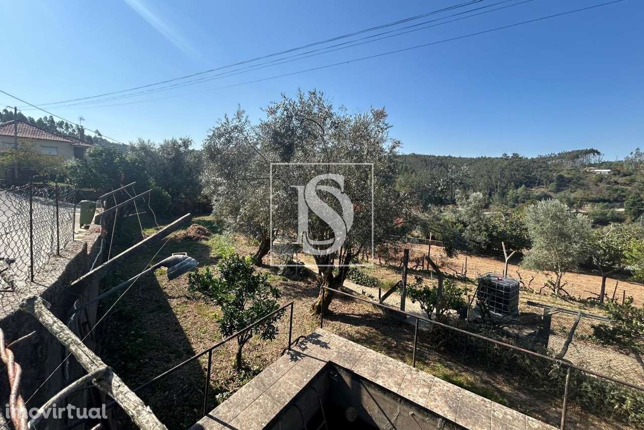 Terreno  Venda em Pala,Mortágua - Grande imagem: 2/20