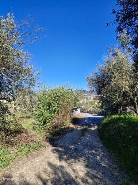 Terreno à venda em Alcaria - Grande imagem: 4/9