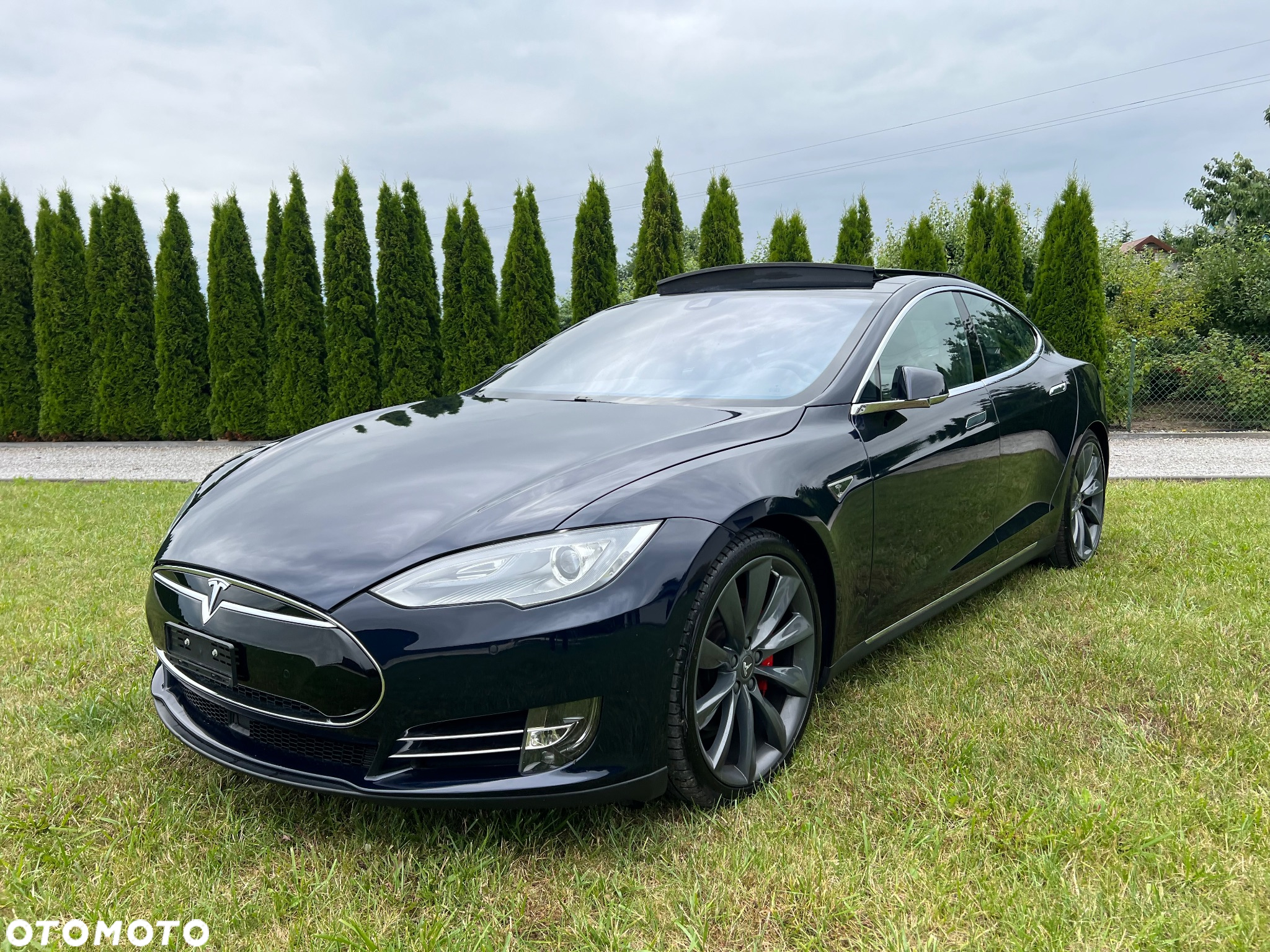 Tesla Model S Performance - 14