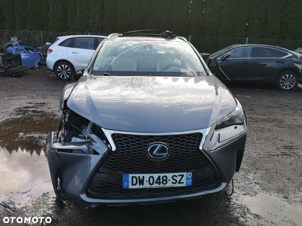 Lexus NX 300h E-FOUR Executive Line - 15