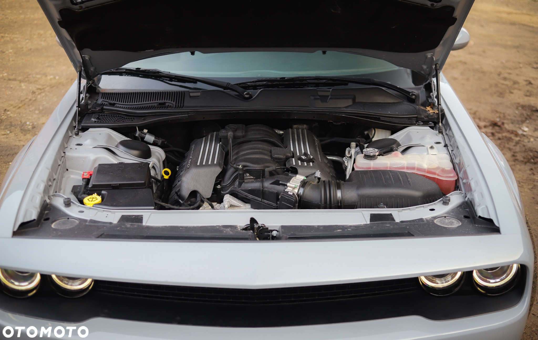 Dodge Challenger 6.4 Scat Pack - 19