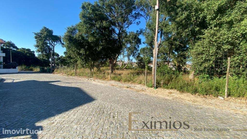 Terreno para construção em Árvore - Grande imagem: 2/4