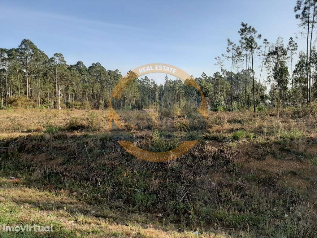 Terreno Industrial Ovar - Grande imagem: 3/8