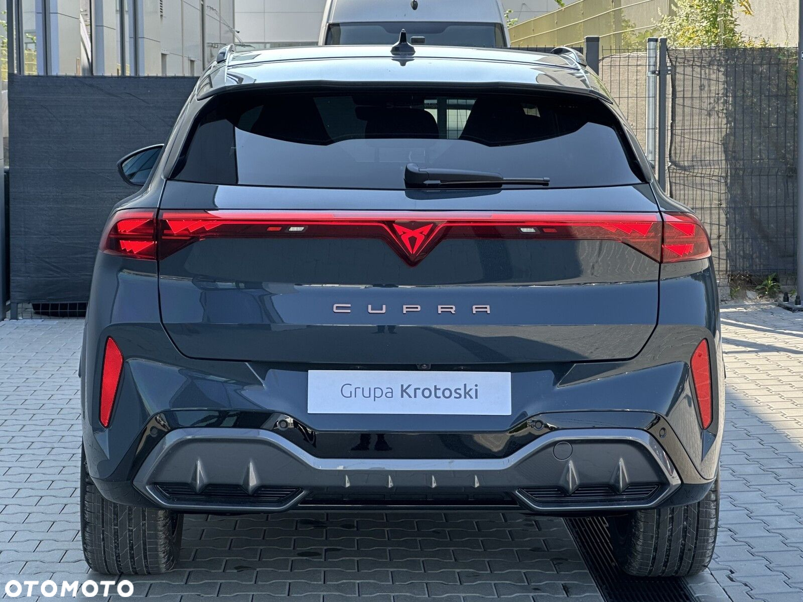 Cupra Terramar - 6