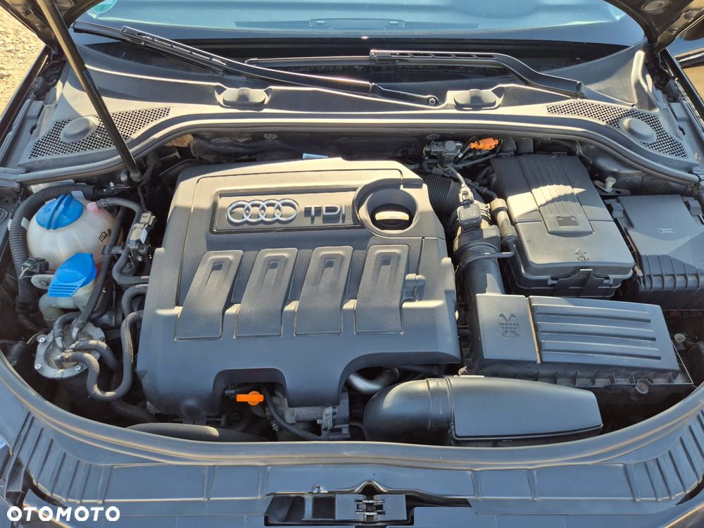 Audi A3 Cabrio 1.6 TDI DPF Attraction - 12