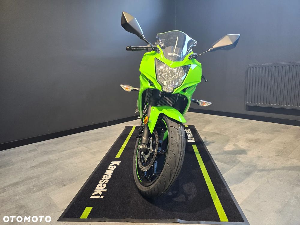 Kawasaki Ninja - 3