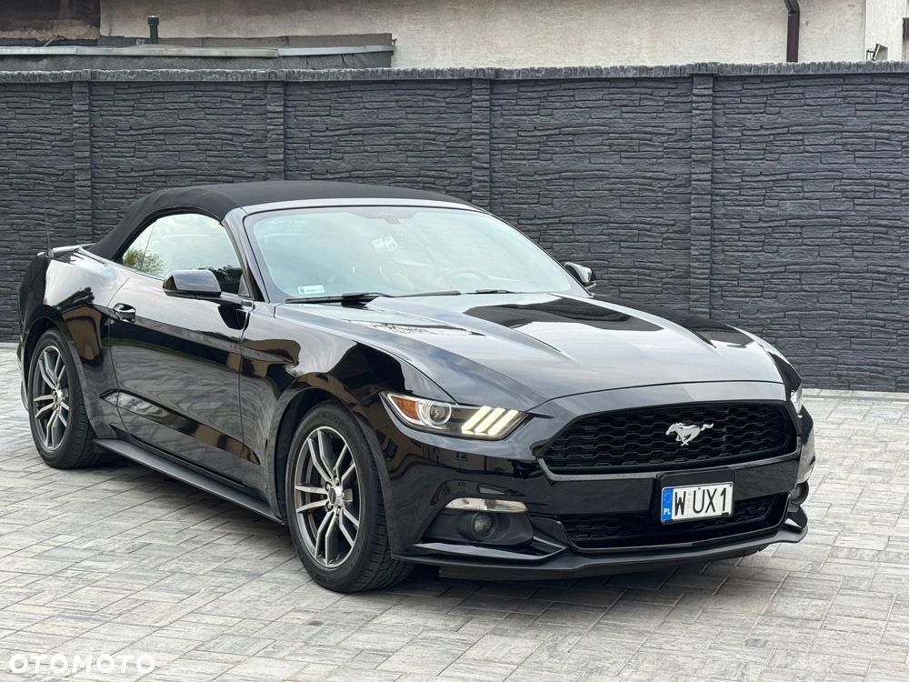 Ford Mustang Cabrio 2.3 Eco Boost - 16