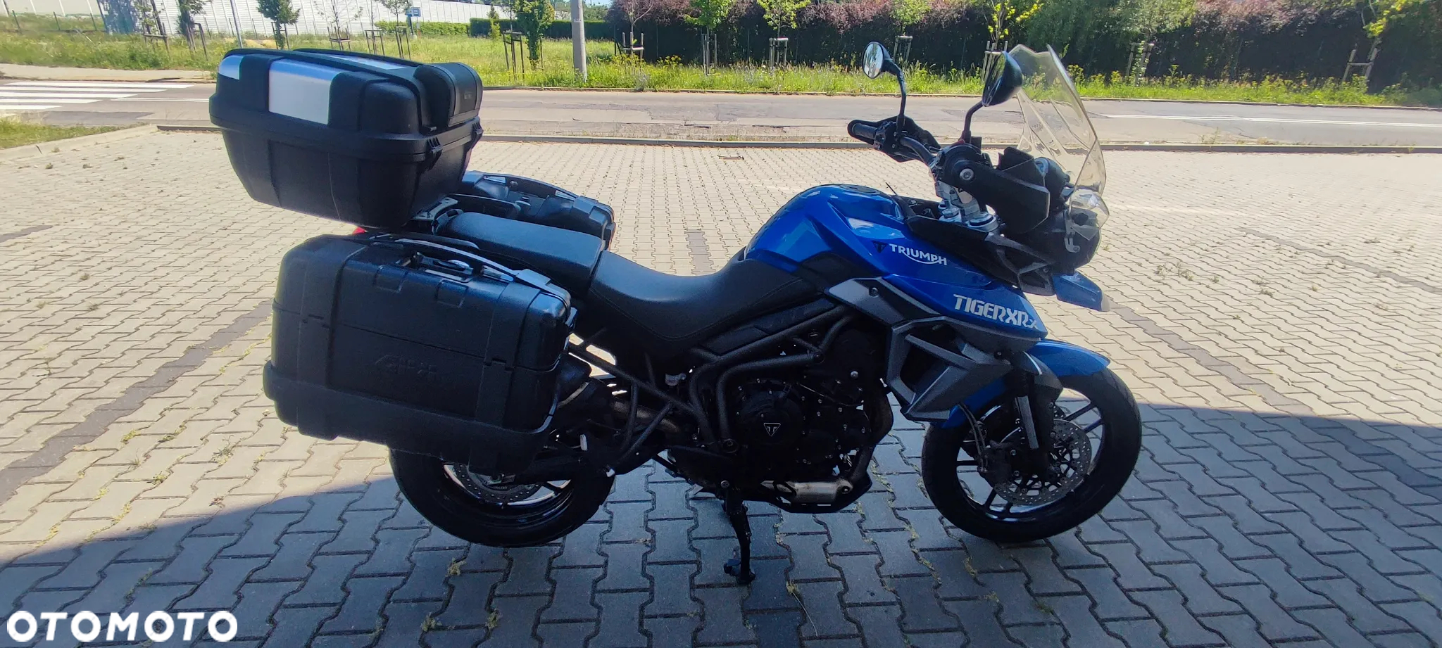 Triumph Tiger - 5
