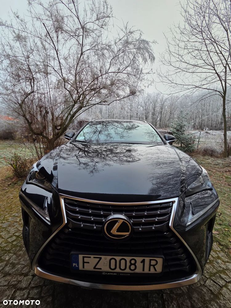 Lexus NX 300 Comfort AWD - 4
