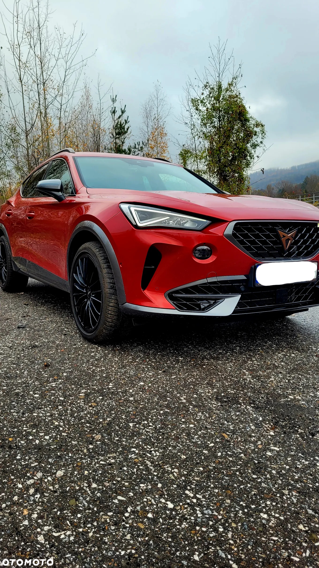 Cupra Formentor 2.0 TSI 4Drive VZ DSG - 11