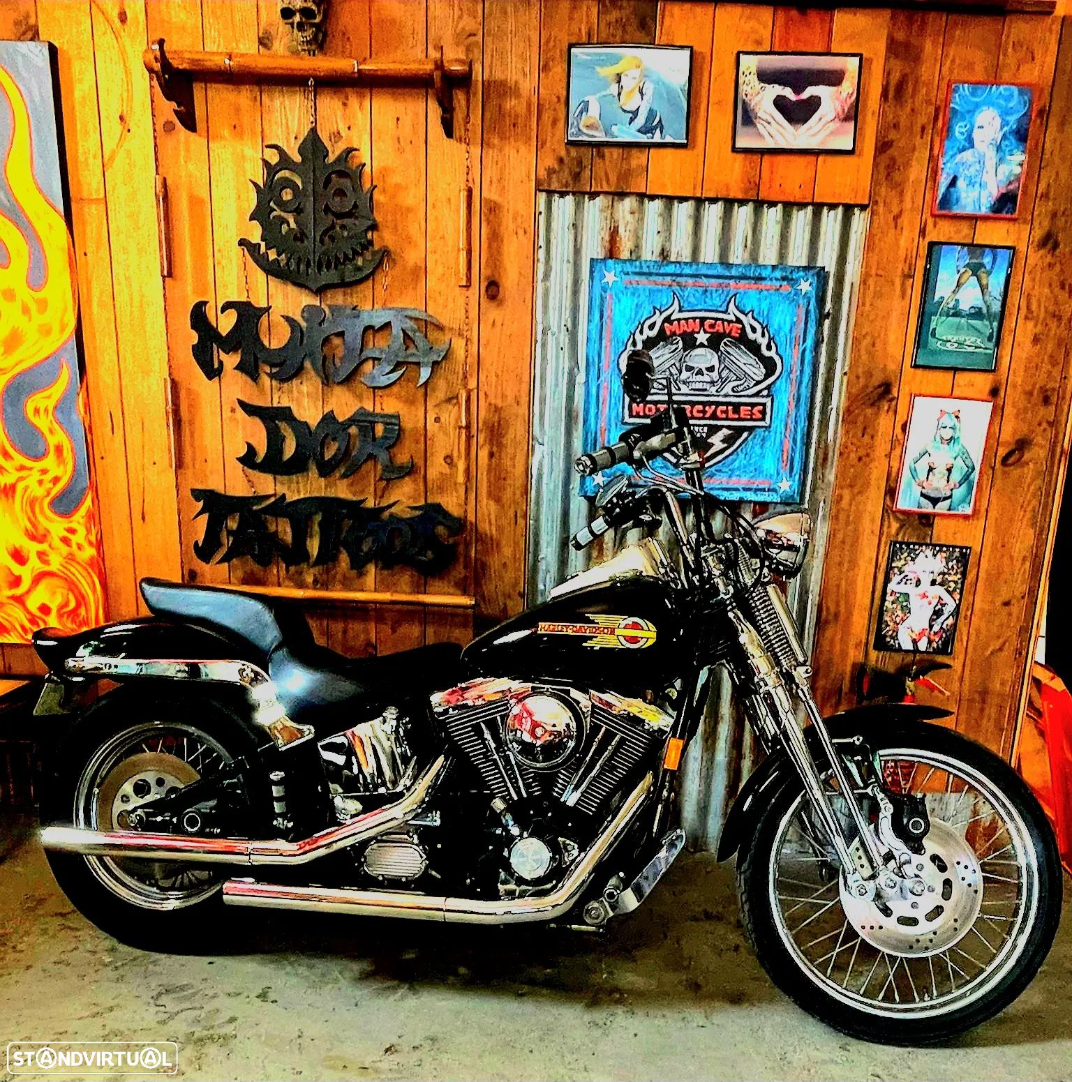 Harley-Davidson FXSTS - 1